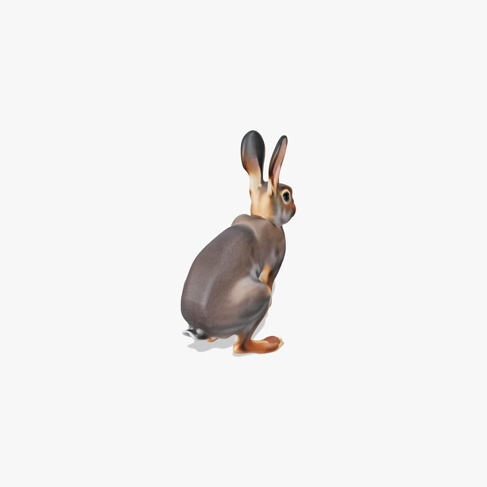 Realistic Rabbit Fur model pack